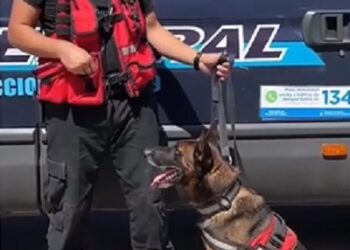 La División Canes también trabaja junto a los Policías y Bomberos