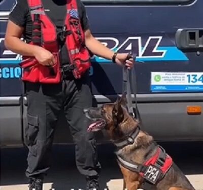 La División Canes también trabaja junto a los Policías y Bomberos