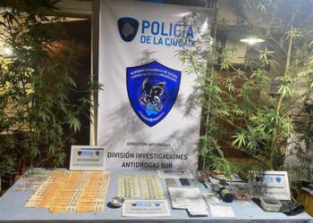 Detienen a un dealer que cultivaba y comercializaba estupefacientes en Liniers