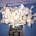 Detienen a siete colombianos acusados de robar casas en distintos barrios porteños y de vender droga
