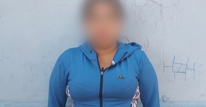 Cayó una «mamá dealer» en Constitución