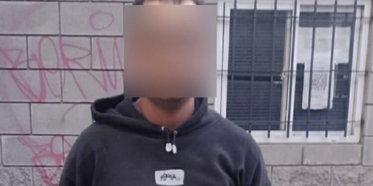 Ladrón detenido en Palermo gracias a las cámaras de seguridad del CMU