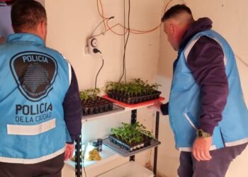 Desbarataron el laboratorio de «La Farmacéutica», una mujer que producía y vendía sustancias medicinales con cannabis sin autorización