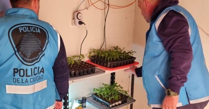 Desbarataron el laboratorio de «La Farmacéutica», una mujer que producía y vendía sustancias medicinales con cannabis sin autorización