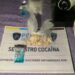 Madre e hijo detenidos por venta de cocaína y pasta base en Barrio 31 y Zavaleta