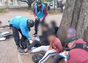Detuvieron a los «pibes chorros» del Parque Lezama