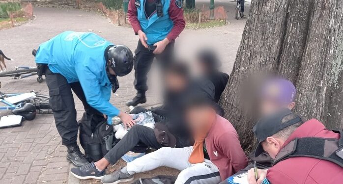 Detuvieron a los «pibes chorros» del Parque Lezama