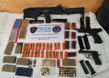 Rescatan trece perros y secuestran arsenal en casa de detenido tras un choque