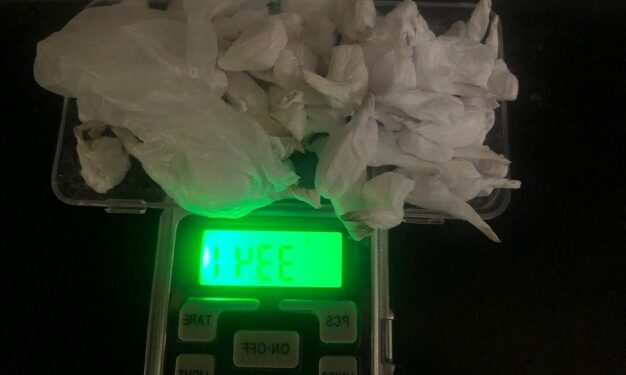 Cuatro narcotraficantes detenidos, más de un kilo de cocaína secuestrada y dos locales clausurados en Constitución
