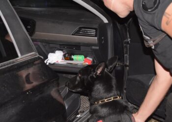 Secuestro de droga y 114 personas imputadas durante los controles por fiestas electrónicas en Costanera y el Autódromo