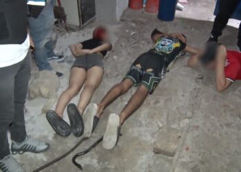 Desarticularon red narco y secuestraron marihuana, cocaína y pasta base en el barrio Zavaleta