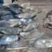 Villa Crespo: Inspección, detención y secuestro de más de 70 autopartes ilegales