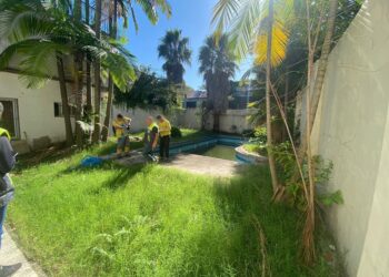Operativo antidengue en una casona abandonada en Belgrano R