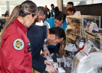 Cayó la banda de los “criptoestafadores”