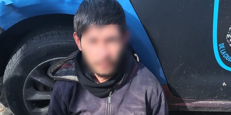 Dos pungas fueron detenidos en Retiro tras robar un celular