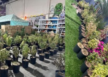 Cayeron los narcos de los «dulces mágicos»