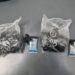 Más de 260 dosis de cocaína secuestradas en Flores