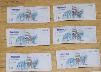 Tras robar y golpear a un jubilado, dos ladrones fueron detenidos por la Policía de la Ciudad en Lugano