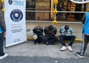 Retiro: la Policía de la Ciudad detuvo a tres colombianos indocumentados que circulaban con dosis de marihuana