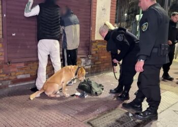 Controles en Constitución y la Boca: detenidos y  procedimientos antidrogas