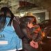La Policía de la Ciudad detuvo a una mujer y un trans por venta de drogas en Constitución