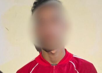 Detuvieron en Dock Sud a tres ladrones, uno con pedido de captura, por circular en un auto robado