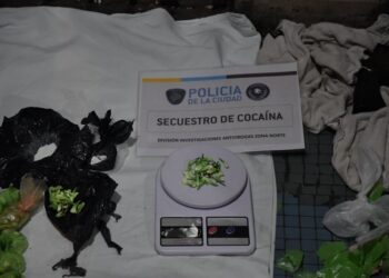 Incautaron cocaína y marihuana en allanamientos en Constitución y Pompeya