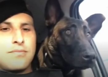 El Cabo Valli y su perro de patrulla mostraron en las redes su amor incondicional