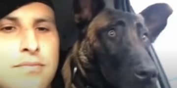 El Cabo Valli y su perro de patrulla mostraron en las redes su amor incondicional